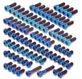 Surron LBX Titanium Bolts Kit